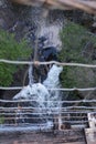 The swinging bridge does just that as the photographer makes his way across the river Royalty Free Stock Photo