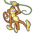 Swinging Monkey