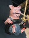 Swinging Pig in a Tire
