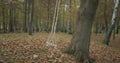 Swinging swing on empty public park in autumn. Leafs in playground on the floor. slow motion.no people