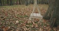Swinging swing on empty public park in autumn. Leafs in playground on the floor. slow motion