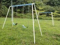 Swings at outdoor grassy children playground