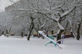 The swings in the Playground after a snowfall.