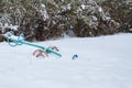 Swings in snow