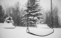 Swings in winter