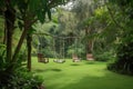 swingset surrounded by lush greenery, with hammocks in view