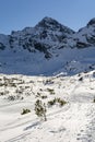 Swinica Svinica peak is a mountain in the main crest of the High Tatras. View in winter clothes Royalty Free Stock Photo