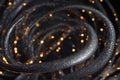 Swirl background composed of star particles