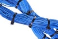 Swirl blue bundles of wires Royalty Free Stock Photo