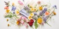 Swirl of different wildflowers and paper handkerchiefs during bloom and allergy , concept of Nature's Kaleidoscope Royalty Free Stock Photo