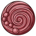 Swirl Maroon Patterned Ornament with Circular Beads Royalty Free Stock Photo