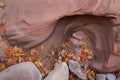 Swirled sandstone, autumn leaves and river rocks