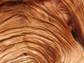 Swirled wood texture Royalty Free Stock Photo