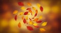 Swirling Autumn Leaves in Warm Colors Royalty Free Stock Photo