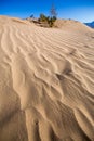 Swirling patterns in the sand amid Death Valley Sand Dunes, Mesquite Flats. Royalty Free Stock Photo