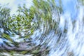 Swirling tree and sky