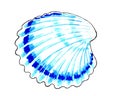 Swirling wavy seashell blue color.