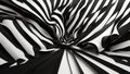 Swirling Zebra Stripes Royalty Free Stock Photo
