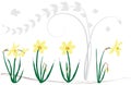 Swirls background with daffodils Royalty Free Stock Photo