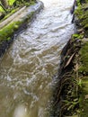 Swirls and streams of turbid water