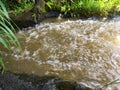 Swirls and streams of turbid water