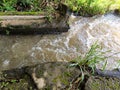 Swirls and streams of turbid water