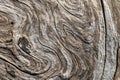 Swirly patterns on a weathered piece of driftwood