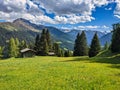 Swiss alp spring in the mountains. Lush green grad on the pasture above davos klostes mountains. High quality photo. Royalty Free Stock Photo