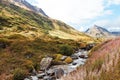 Swiss Alpine Landscape, stream Royalty Free Stock Photo