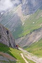 Swiss alpine railway Royalty Free Stock Photo