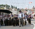 Swiss alpine shepherds with a ibex herd