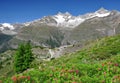 Swiss alps Royalty Free Stock Photo