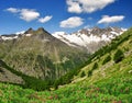 Swiss Alps Royalty Free Stock Photo