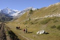 Swiss alps: Bernina Hospitz Hiking & Biking Region in the Upper