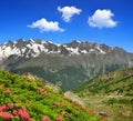 Swiss alps Royalty Free Stock Photo