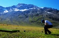 Swiss alps: Mountain Golf Turnier Engstligenalp, Adelboden