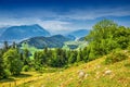 Swiss Alps near Burgenstock with the view of Lake Lucerne and Pilatus mountain, Switzerland, Europe Royalty Free Stock Photo