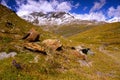 Swiss Alps near Matterhorn and Schwarzsee