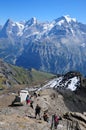 Swiss alps: Paragliding near Grindelwald at Schilthorn in the Bernese Oberland showing melting glaciers everywhere Royalty Free Stock Photo