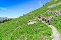 Swiss alps in the summer season. Trekking in the mountainous Alp