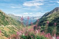 Swiss Apls with wild pink flowers Royalty Free Stock Photo