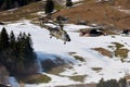 Swiss army eurocopter super puma