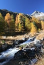 Swiss autumn river Royalty Free Stock Photo