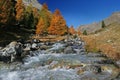 Swiss autumn river Royalty Free Stock Photo