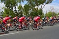 Team katusha Alpecine In The Peleton La Vuelta EspaÃÂ±a