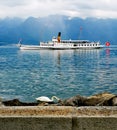 Swiss boat ``Italie`` close to the shore with a swan eating