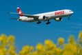 SWISS Boeing 777-300 over a colza field