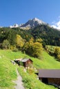 Swiss chalet in Alps Royalty Free Stock Photo