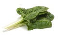 Swiss Chard Royalty Free Stock Photo