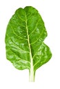 Swiss chard